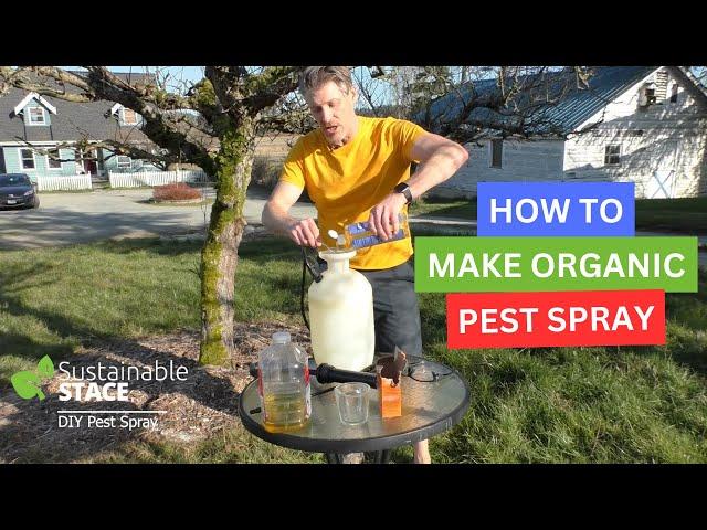 How To Make DIY Organic Pest Spray For Your Fruit Trees!