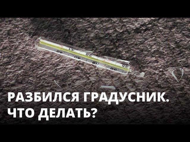 Что делать, если разбился градусник?