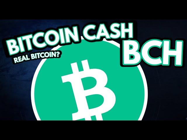 BITCOIN CASH BCH PRICE PREDICTION & CRYPTO ANALYSIS!!!