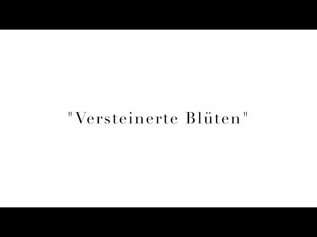 Jay-B - „Versteinerte Blüten"