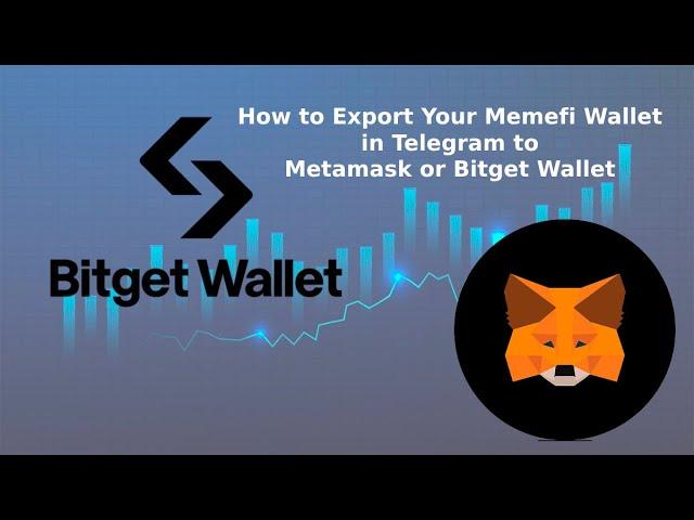 How to Export Your Memefi Wallet in Telegram to Metamask or Bitget Wallet