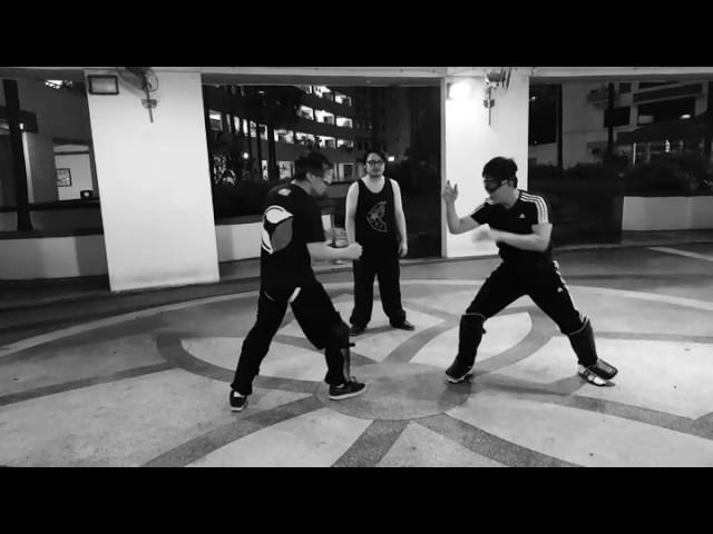 Jeet Kune Do - Progressive indirect Attack ( PIA )