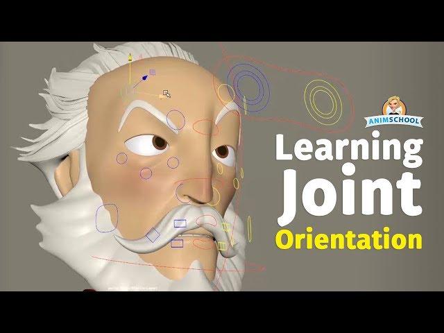 Learning Joint Orientation