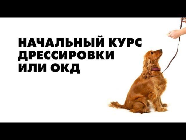 Начальный курс дрессировки или ОКД