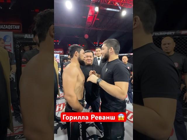 Горилла реванш #бой #ufc #боец #бокс #мма #нокаут #бои #юфс #boxing #ufs