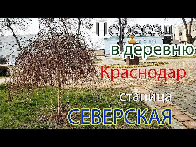 Станица Северская - обзор станицы, советы для переезжающих