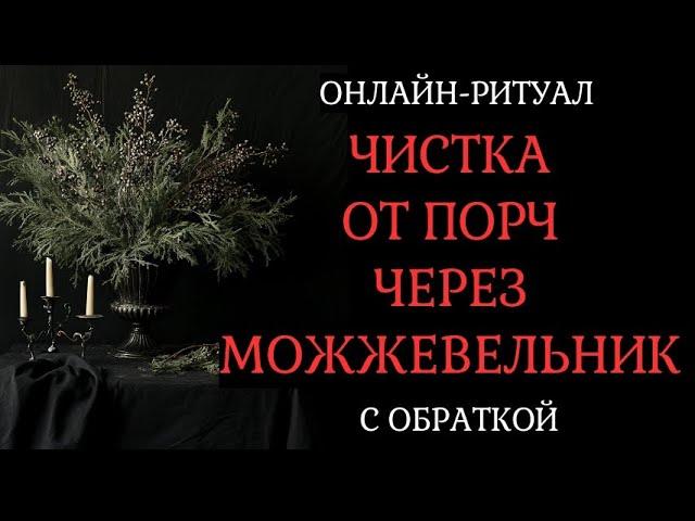ЧИСТКА ЧЕРЕЗ МОЖЖЕВЕЛЬНИК (ОТ ПОРЧ, НЕГАТИВА). ОНЛАЙН-РИТУАЛ С ОБРАТКОЙ