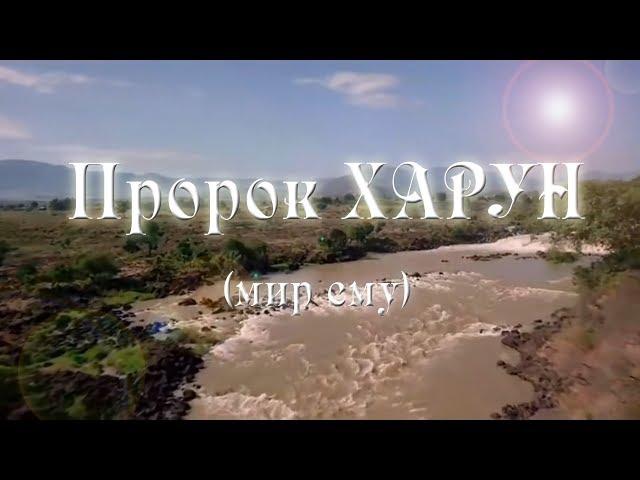 Пророк Харун | Истории пророков | Алексей Казаков