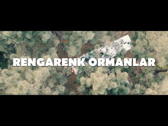 Çağan Şengül & Işıl Ayman - Rengarenk Ormanlar