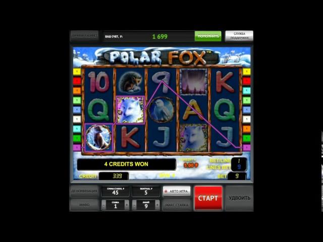 Как играть в игровой автомат Polar Fox. Принцип игры, обучающее видео.