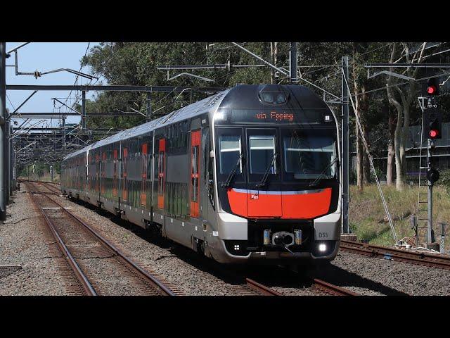 「4K60p WIDEVIEW」Mariyung D Set Ride - Epping to Cheltenham - CCN Central Coast & Newcastle Line