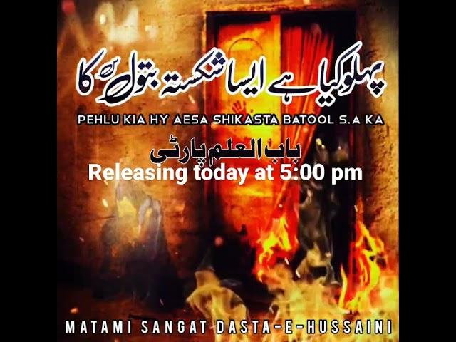 coming soon | BAB-UL-ILM PARTY | Sangat Dasta e Hussaini ️