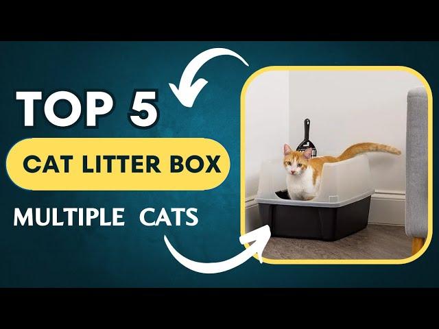 TOP 5 Best Cat Litter Box for Multiple Cats 2024 || Best Affordable and Comfortable Cat Litter Box.