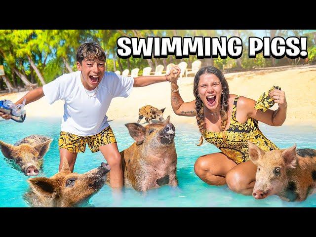 We Finally SWAM with PIGS in the Bahamas! 