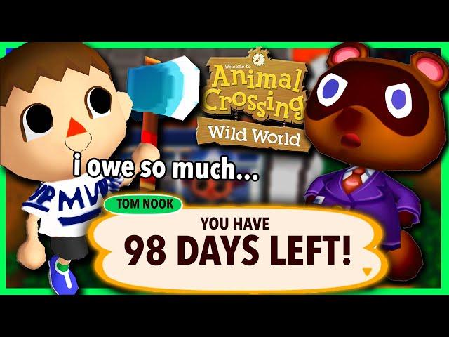 I Spent 100 Days In Animal Crossing Wild World...on the DS