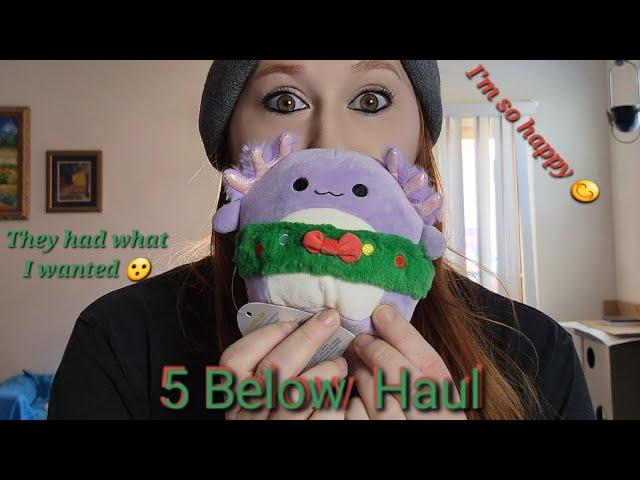 Toy Reveal (episode 28)! My 5 Below Haul