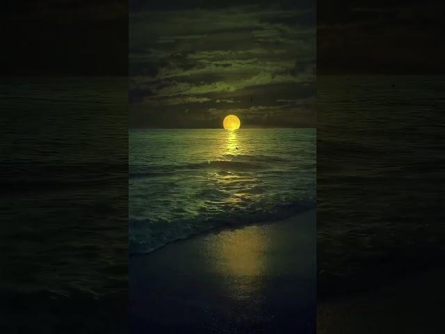 #the#moonlightmusic#video