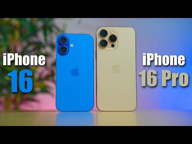 Was soll ich kaufen? iPhone 16 vs. 16 Pro im direkten Vergleich!