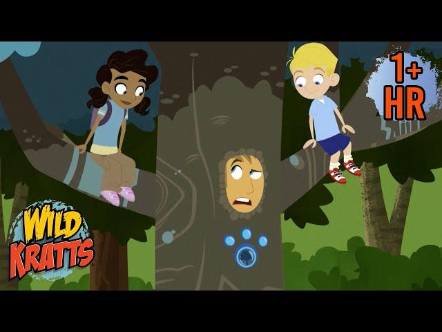 Martin Gets Turned into a Tree | New Compilation | Wild Kratts