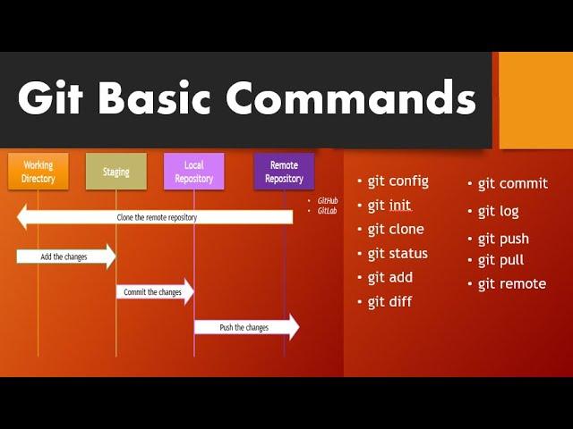 Git Basic Commands | Git Tutorial for Beginners Part 5