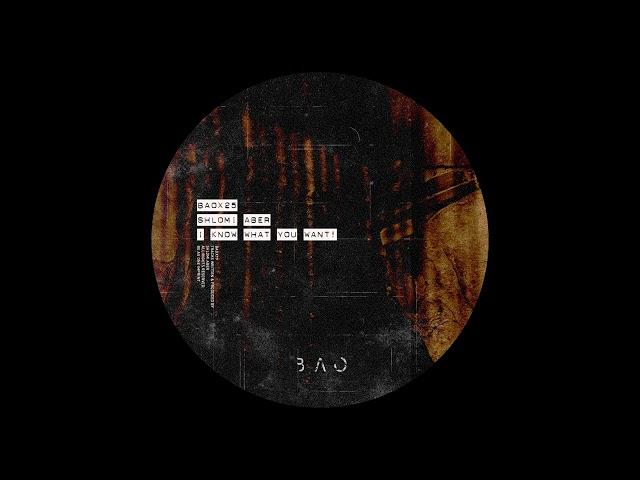 Shlomi Aber - Exit [BAOX25]