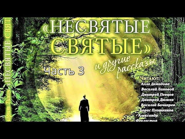 "НЕСВЯТЫЕ СВЯТЫЕ" 3 часть (аудиокнига)