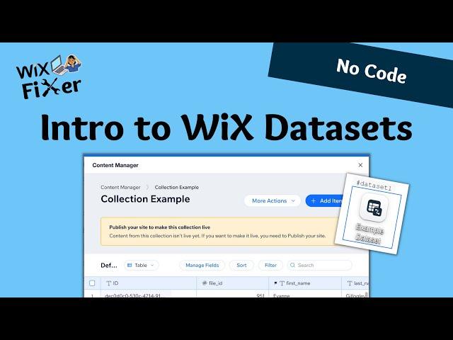 Intro to WiX Datasets - Connect Data Collections with Your Site | No Code