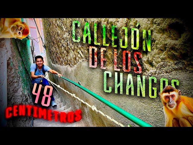 EL CALLEJÓN MÁS ANGOSTO DE TODA LA CIUDAD  SOLO 48 CENTÍMETROS️️