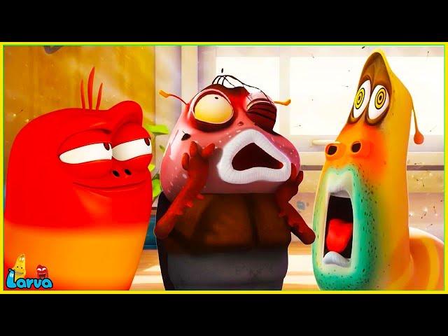 LARVA 2025 [ YELLOW AND RED ] CARTOONS MOVIES NEW VERSION / CARTOONS BOX 111