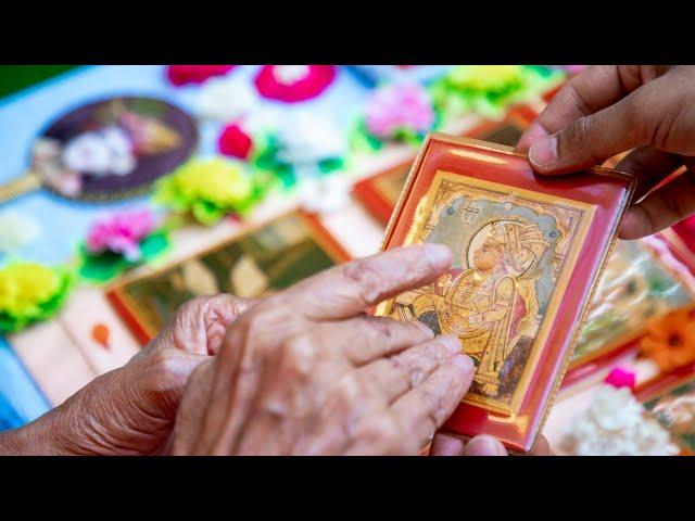 HH Mahant Swami Maharaj's Vicharan  17 Apr 2020, Nenpur, India #shorts