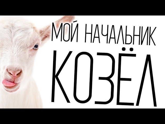 "Музей Козла" в Твери.