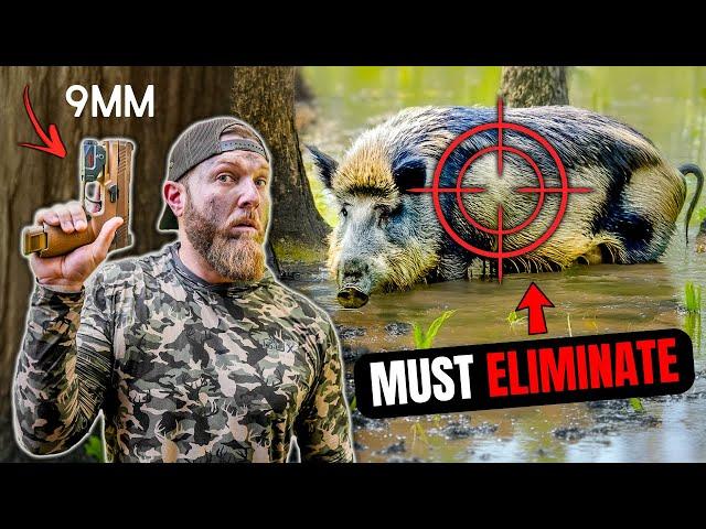 Chasing Down Wild Hogs w/ PISTOLS!! **danger close**