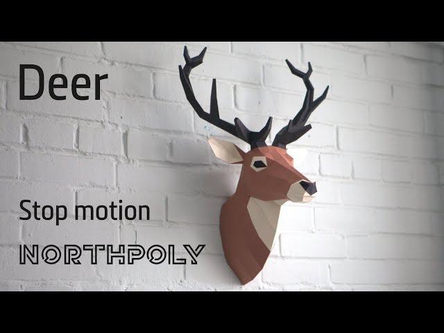Low poly Deer. Papercraft. Stop motion