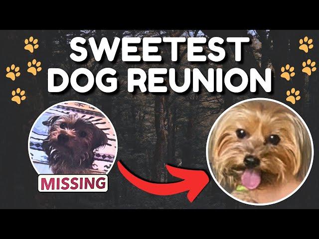 The SWEETEST Puppy Reunion!