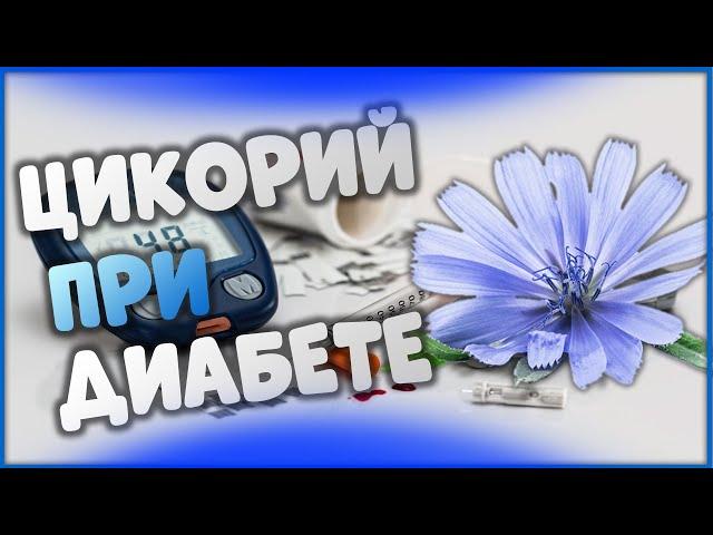 Цикорий при диабете