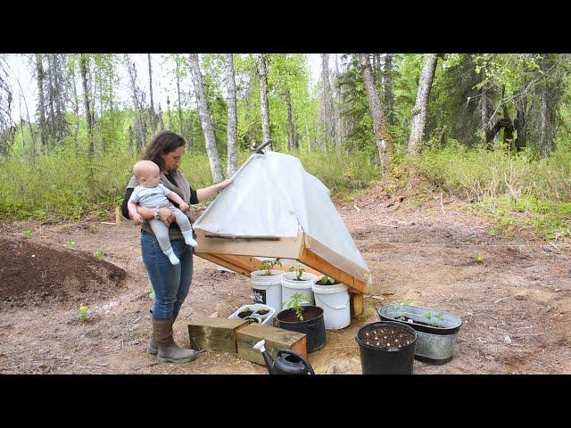 What’s Growing on The Homestead? | Full Property Tour