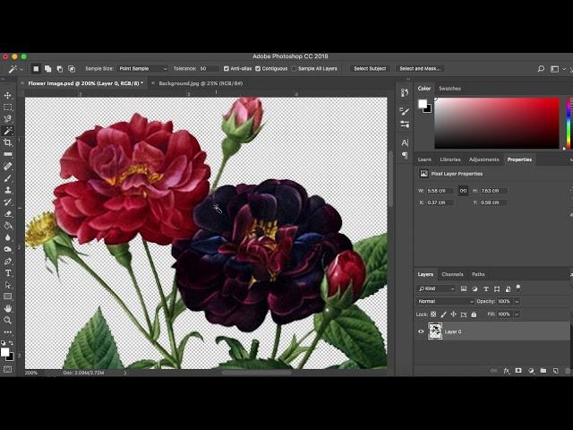 Basic Photoshop Tutorial:  Magic Wand Tool