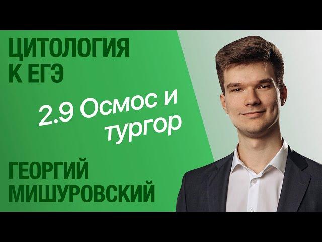 2.9. Осмос, тургор, плазмолиз | Цитология к ЕГЭ | Георгий Мишуровский