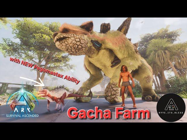 How To Set Up Your Gacha Farm with NEW Pegomastax Ability - Ark Survival Ascended