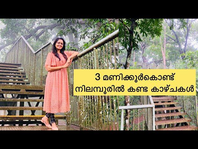 മൂന്ന് മണിക്കൂർകൊണ്ട് നിലമ്പൂരിൽ കണ്ട കാഴ്ചകൾ|nilambur|sarisway