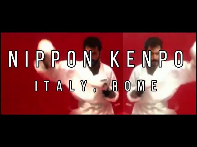 Nippon kempo