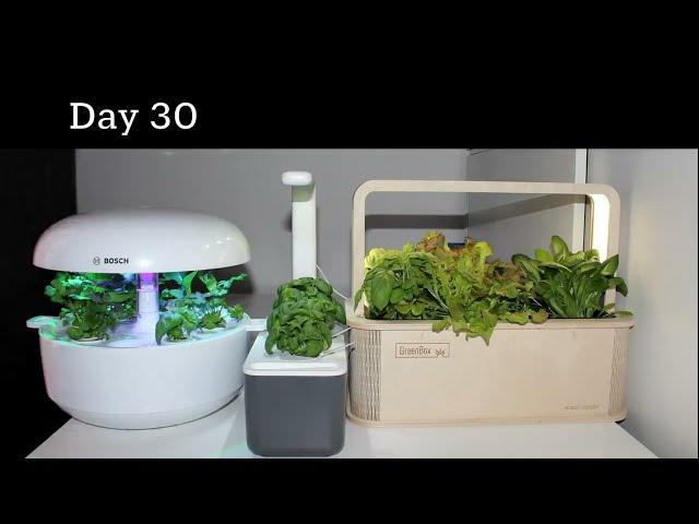 Timelapse 5.5 Weeks (Plantui/Bosch, Click&Grow, Prêt à Pousser Nano, BerlinGreen)