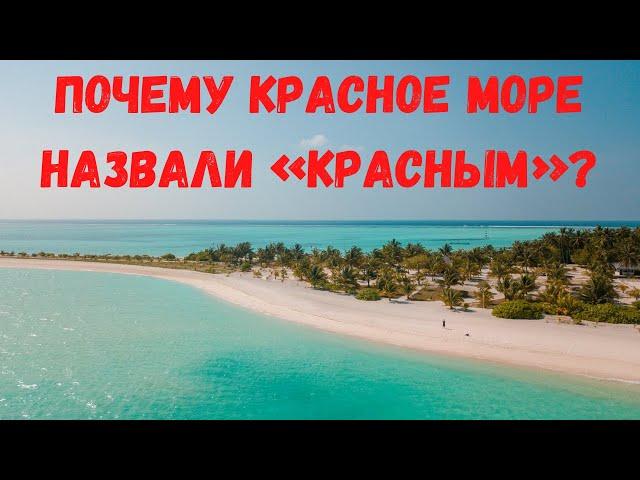 Почему Красное море назвали «красным»?