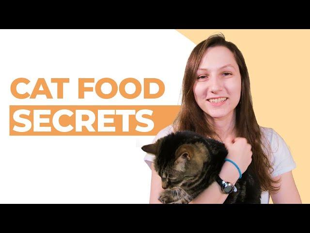 7 Things No One Told You About Cat Food