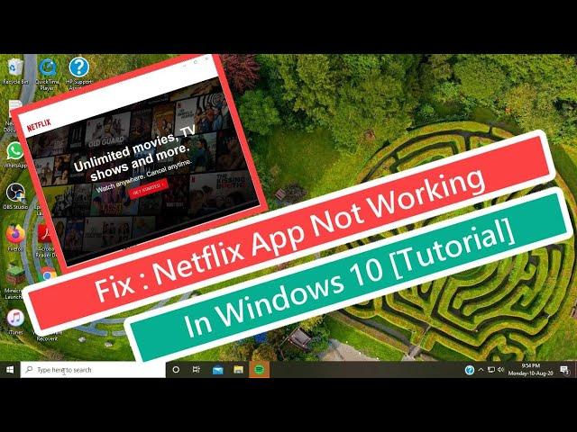 Fix : Netflix App Not Working In Windows 10 [Tutorial]