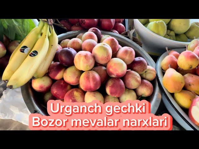 MEVA NARXLARI URGANCH GECHKI BOZOR 19.09.2024