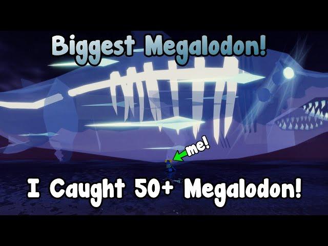 Catching The Biggest Megalodon In Fisch!