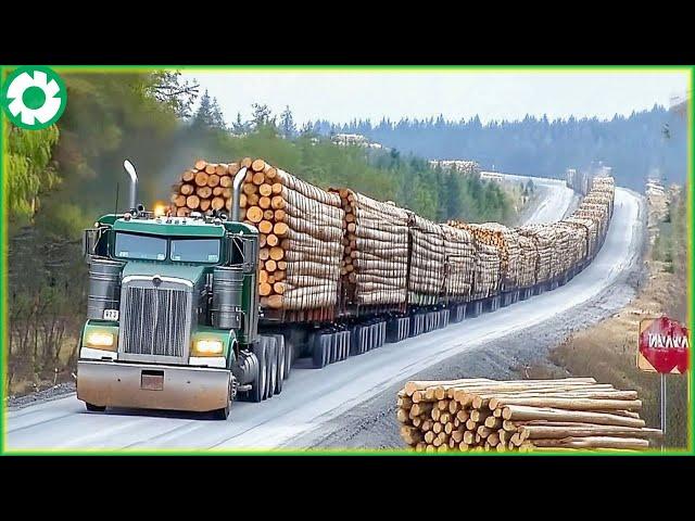 199 Jaw-Dropping Logging Wood Most Dangerous Transport Skills | Biggest Heavy Machinery Machines