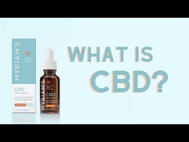 How CBD Works in the Body