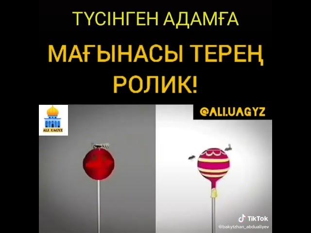 Жылататын уағыз лайк